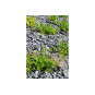 Liuskekivikate 40-90 mm, suursäkki