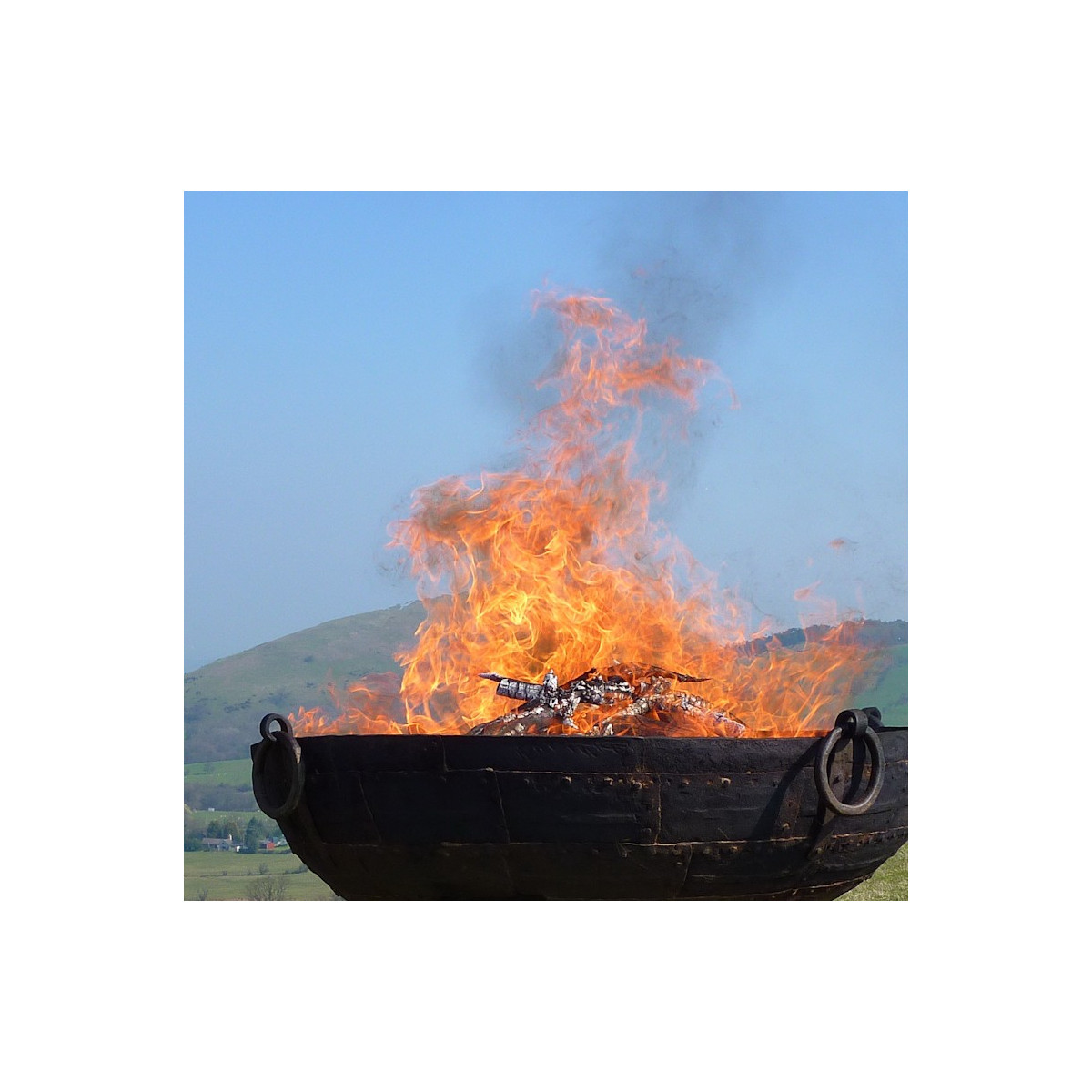 Kadai tulipata, 60 cm