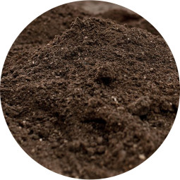 Maksaruohokattomulta, suursäkki