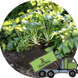 Viljelymulta (luomu) Kekkilä, irto 18 tn