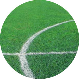 Sport Classic -nurmikonsiemenet 15 kg - Siisti Piha Oy