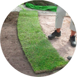 Valmis siirtonurmikko, 51-100 m²