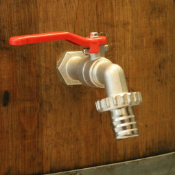 Tammitynnyri kannella, niklattu hana