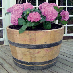 Puolikas viinitynnyri, tamminen