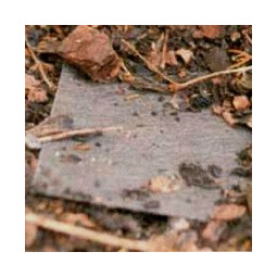 Maisemointikangas EgWeed C