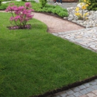 Valmisnurmikko  image